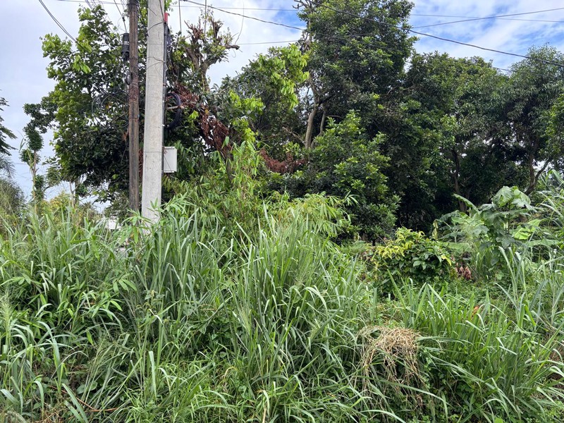 Tanah 2.400m2 di Jl. Raya Curug Bojongsari Depok