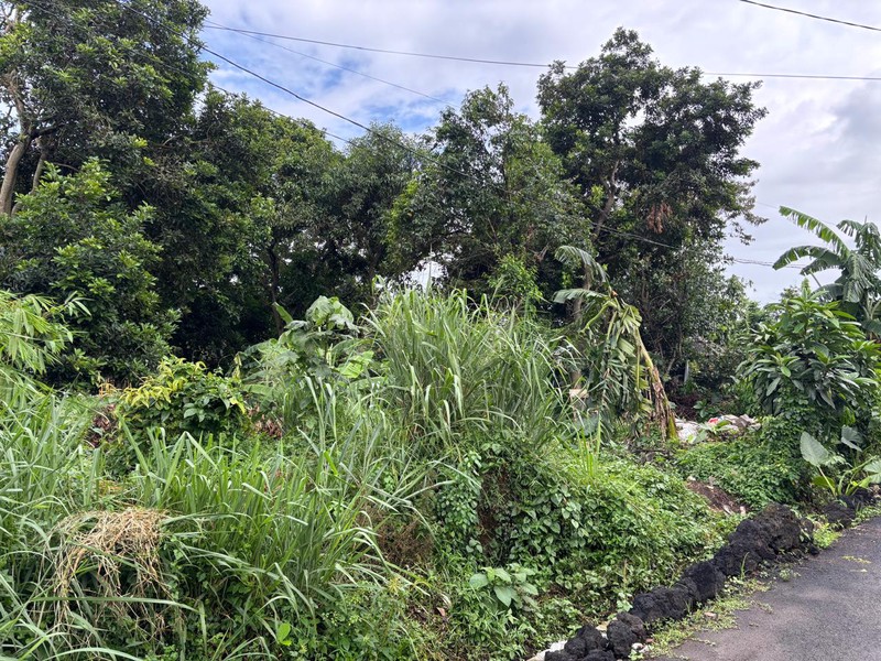 Tanah 2.400m2 di Jl. Raya Curug Bojongsari Depok