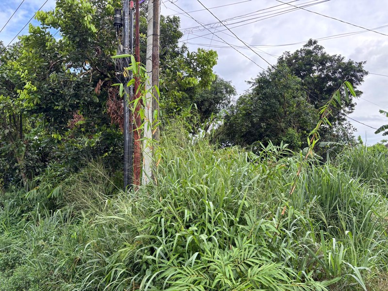 Tanah 820m2 di Jl. Raya Curug Bojongsari Depok