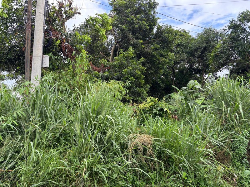 Tanah 820m2 di Jl. Raya Curug Bojongsari Depok