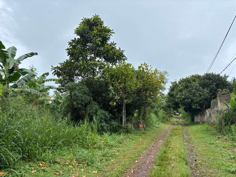 Tanah 9.760m2 di Jl. Raya Curug Bojongsari Depok