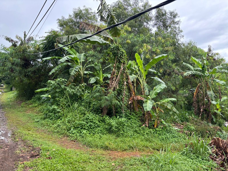 Tanah 9.760m2 di Jl. Raya Curug Bojongsari Depok