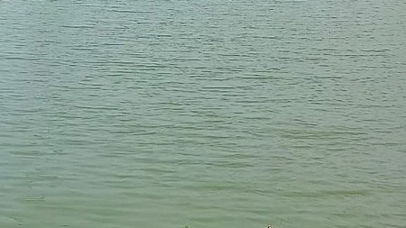 Dijual 4 Ha Tanah Tambak Udang Produktif Bangil - Pasuruan Jawa Timur