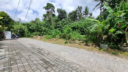 For Leasehold 18 Are Land at Prime Location Sayan, Ubud