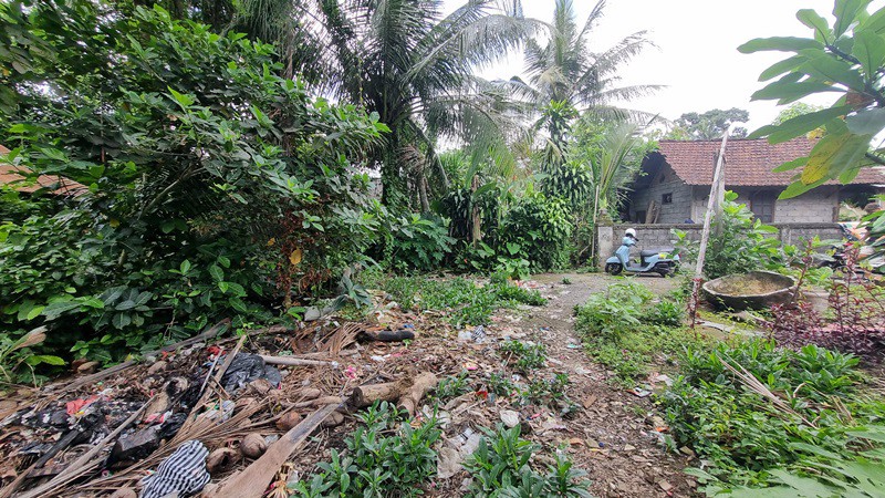 For Leasehold 18 Are Land at Prime Location Sayan, Ubud