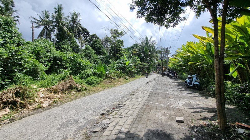 For Leasehold 18 Are Land at Prime Location Sayan, Ubud