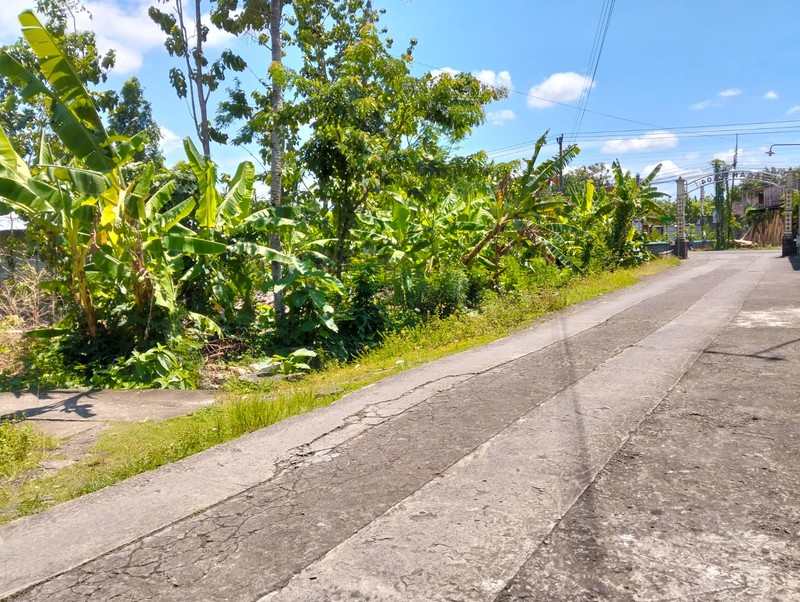 Disewakan Tanah Luas 1000 Meter Persegi Cocok untuk Usaha/Investasi di Bangunjiwo, Kasihan, Bantul