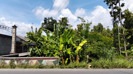 Disewakan Tanah Luas 1000 Meter Persegi Cocok untuk Usaha/Investasi di Bangunjiwo, Kasihan, Bantul