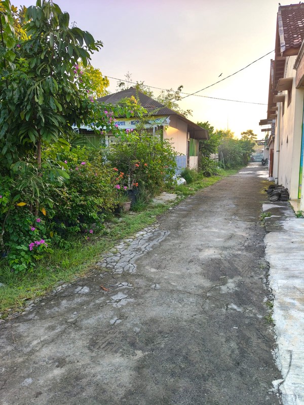 Dijual/Disewakan Tanah Strategis 1.220 Meter Persegi Dekat Candi Prambanan  Cocok untuk Hotel & Villa, Prambanan, Klaten