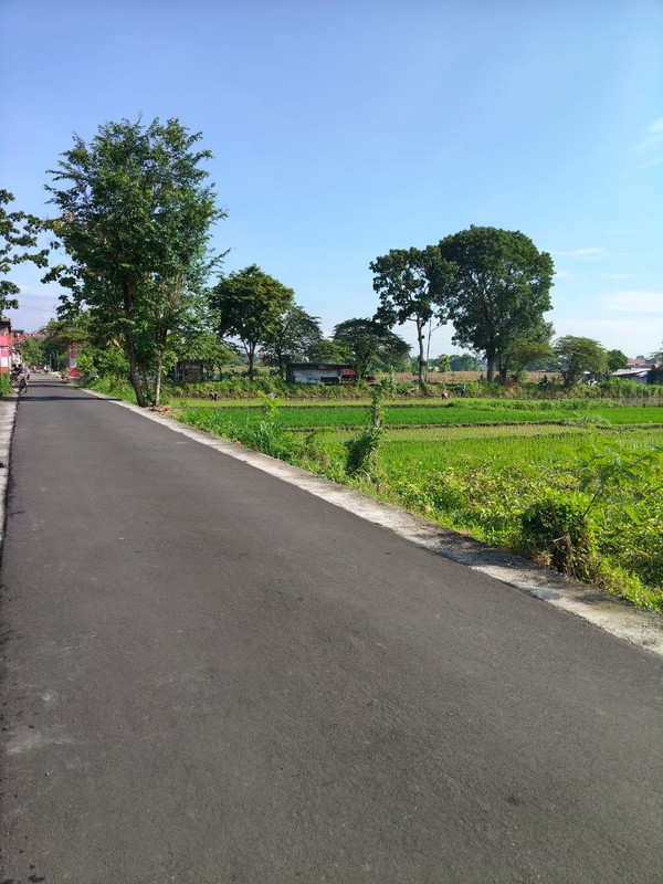 Dijual/Disewakan Tanah Strategis 2.020 Meter Persegi 2 Muka, Cocok untuk Perumahan & Resto di Prambanan, Klaten