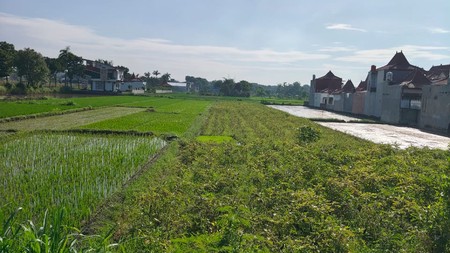 Dijual/Disewakan Tanah Strategis 2.020 Meter Persegi 2 Muka, Cocok untuk Perumahan & Resto di Prambanan, Klaten