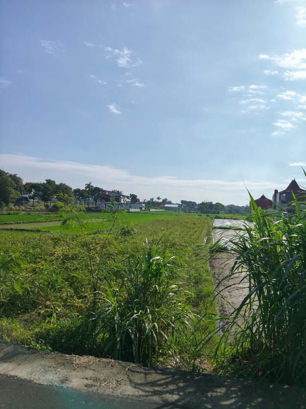 Dijual/Disewakan Tanah Strategis 2.020 Meter Persegi 2 Muka, Cocok untuk Perumahan & Resto di Prambanan, Klaten