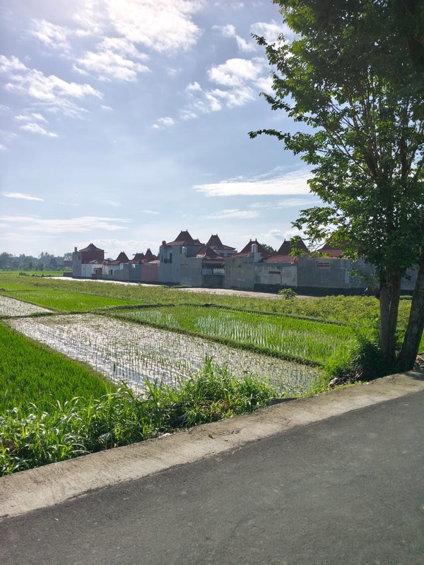 Dijual/Disewakan Tanah Strategis 2.020 Meter Persegi 2 Muka, Cocok untuk Perumahan & Resto di Prambanan, Klaten
