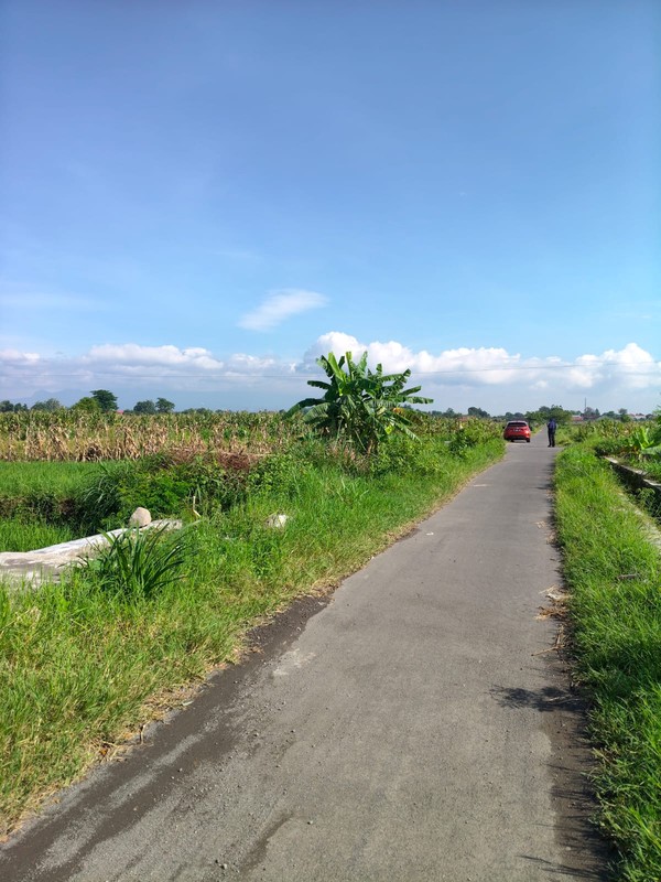 Dijual/Disewakan Tanah 2.520 Meter Persegi Cocok untuk Investasi Jangka Panjang, Bugisa, Prambanan, Klaten