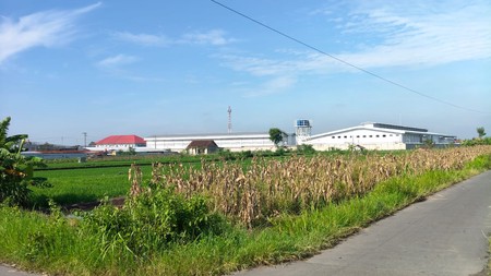 Dijual/Disewakan Tanah 2.520 Meter Persegi Cocok untuk Investasi Jangka Panjang, Bugisa, Prambanan, Klaten
