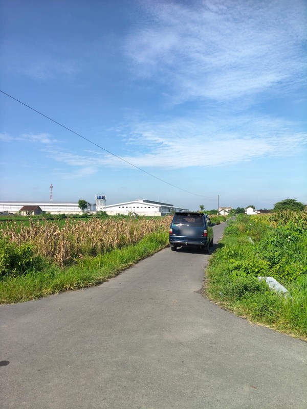 Dijual/Disewakan Tanah 2.520 Meter Persegi Cocok untuk Investasi Jangka Panjang, Bugisa, Prambanan, Klaten