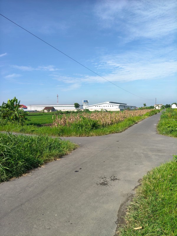 Dijual/Disewakan Tanah 2.520 Meter Persegi Cocok untuk Investasi Jangka Panjang, Bugisa, Prambanan, Klaten