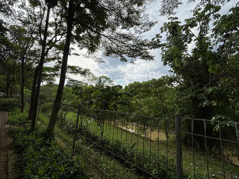 Rumah 2 Lantai Hadap Taman di Hickory Podomoro Golf View 