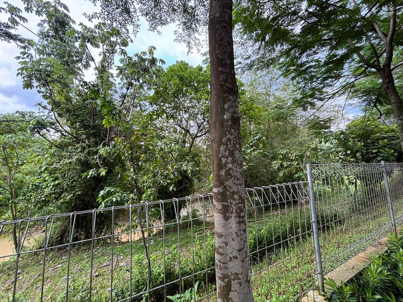 Rumah 2 Lantai Hadap Taman di Hickory Podomoro Golf View 