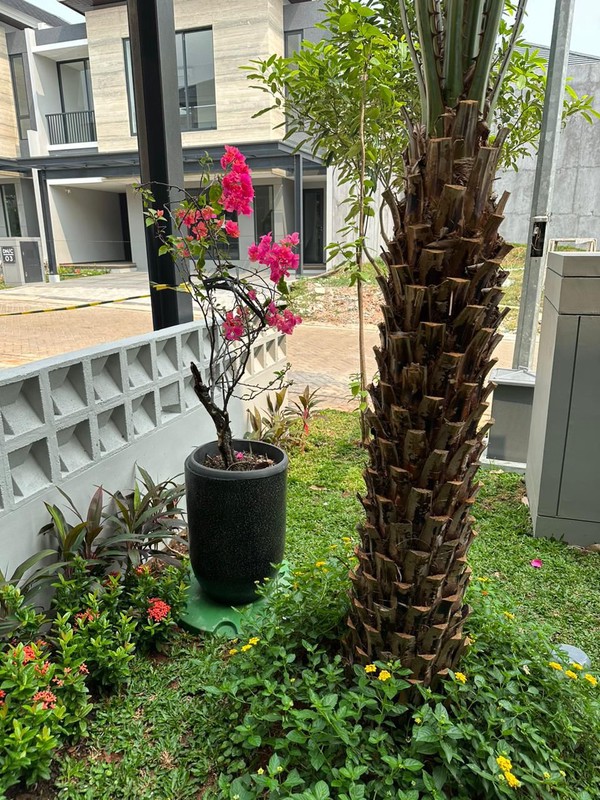 Rumah Modern Siap Huni di Discovery Alton Bintaro Jaya Sektor 9 Tangerang Selatan