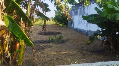 Jual Tanah di Raya Balongpanggang Gresik Lokasi Pinggir Jalan Utama, Cocok untuk Usaha!