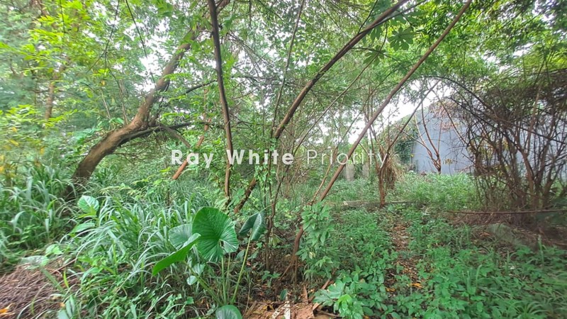 Tanah di Kedungbadak Tanah Sereal Bogor akses Sentul City GnPutri