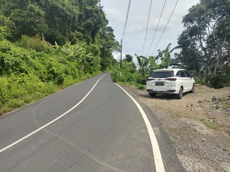 Land Freehold Discover Your Slice of Paradise at Buahan, Payangan, Ubud Bali