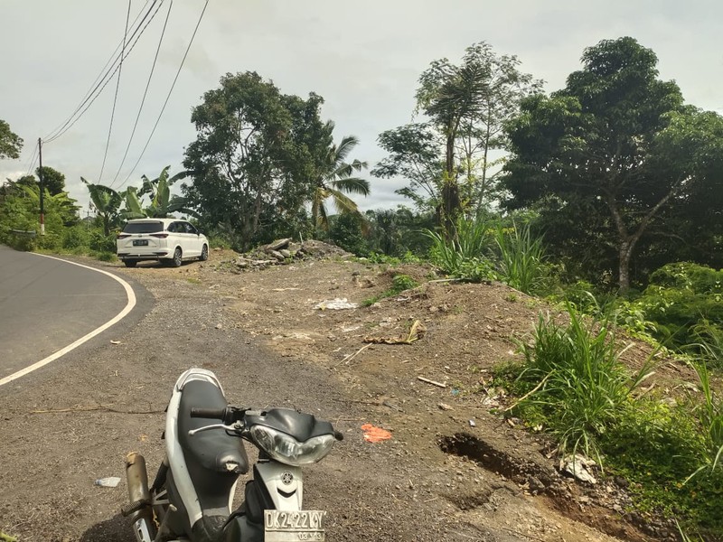  Land Freehold Discover Your Slice of Paradise at Buahan, Payangan, Ubud Bali