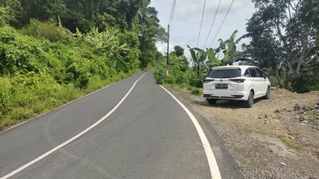  Land Freehold Discover Your Slice of Paradise at Buahan, Payangan, Ubud Bali