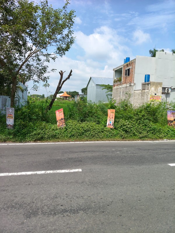 Disewakan Tanah Strategis Area Wisata Dekat Candi Plaosan, Bugisan, Prambanan, Klaten 