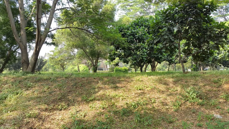 Kavling Tanah siap Bangun dalam komplek elite di Royal Orchard Kelapa Gading