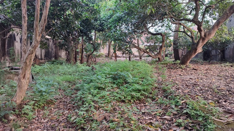 Dijual Tanah + Bangunan Luas 1.562 m² SHM di Jl. Hayam Wuruk Magersari Mojokerto