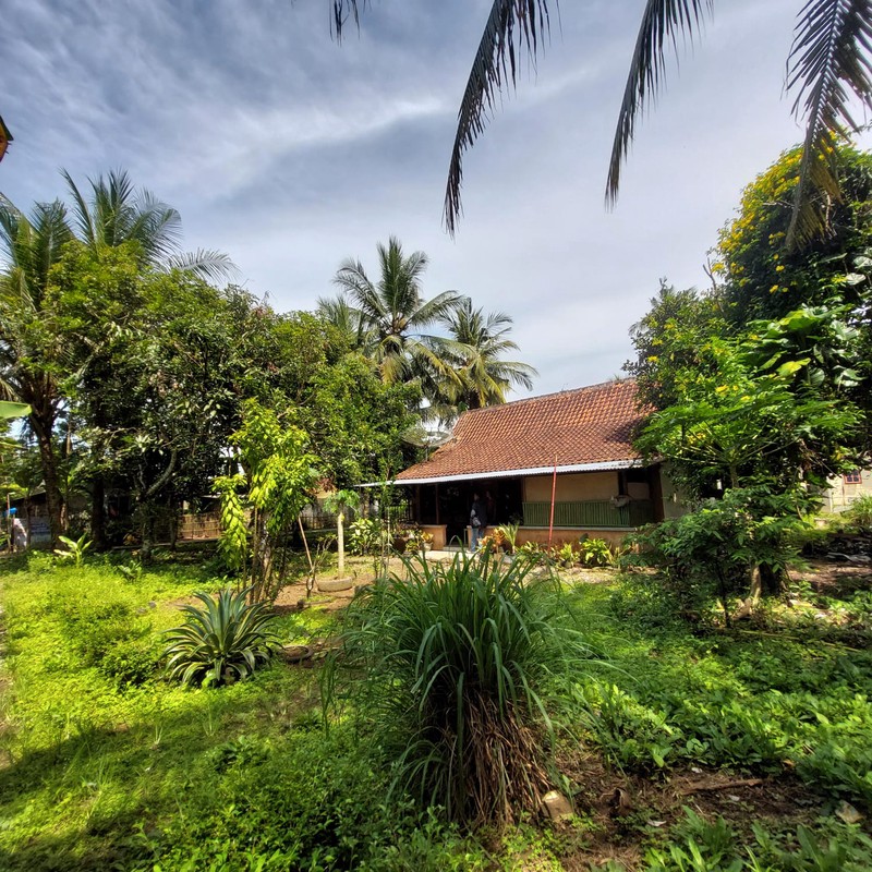 Dijual Tanah Pekarangan Luas 1170 Meter Persegi Lokasi Strategis di Pangen Rejo - Purworejo