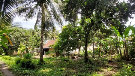 Dijual Tanah Pekarangan Luas 1170 Meter Persegi Lokasi Strategis di Pangen Rejo - Purworejo