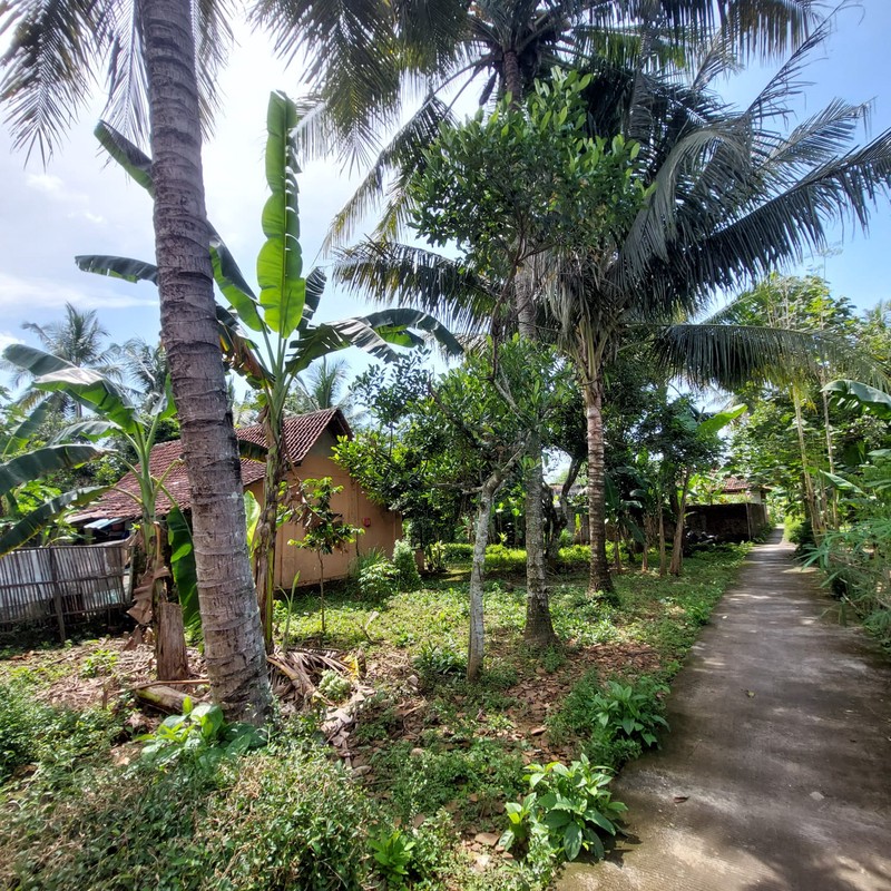 Dijual Tanah Pekarangan Luas 1170 Meter Persegi Lokasi Strategis di Pangen Rejo - Purworejo