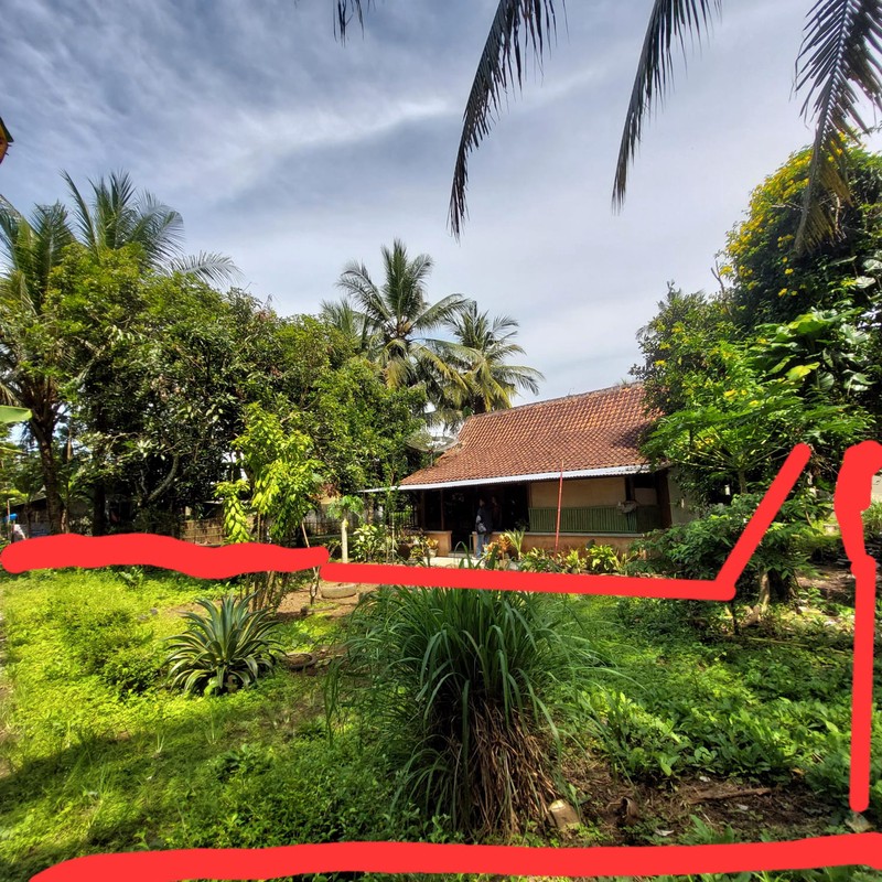 Dijual Tanah Pekarangan Luas 1170 Meter Persegi Lokasi Strategis di Pangen Rejo - Purworejo