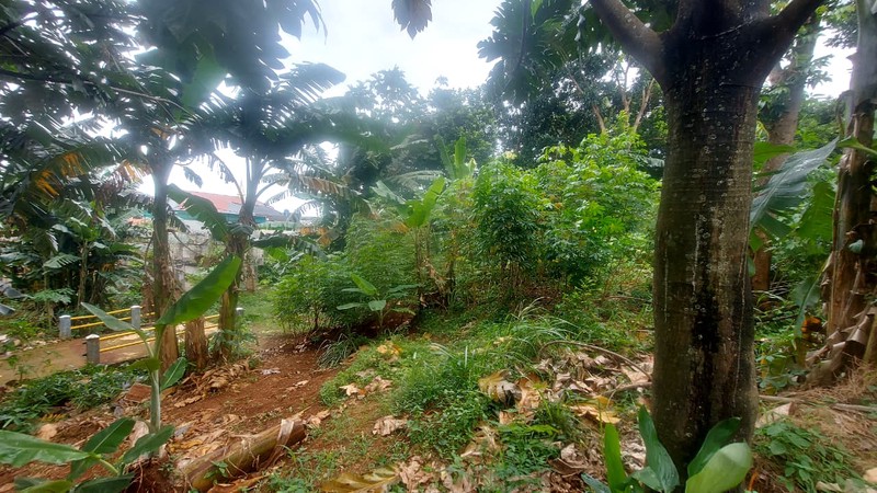 Tanah Strategis Cocok untuk Cluster, Sekolah atau Pesantren di Sukmajaya Depok 