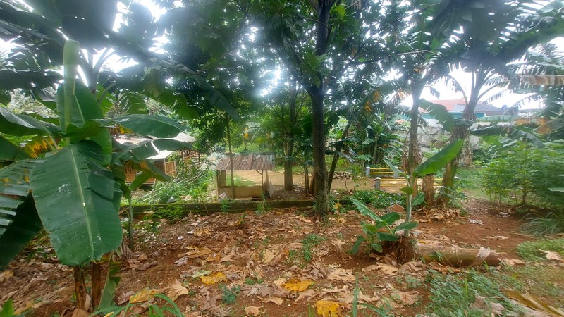 Tanah Strategis Cocok untuk Cluster, Sekolah atau Pesantren di Sukmajaya Depok 