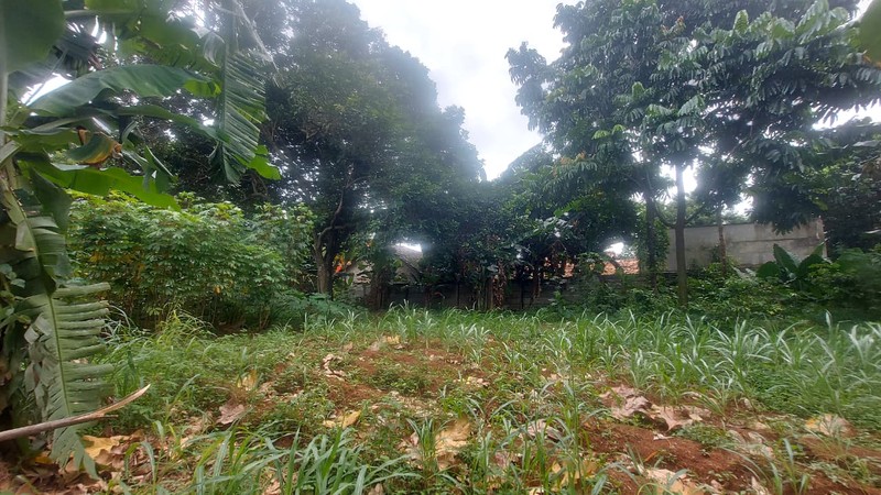 Tanah Strategis Cocok untuk Cluster, Sekolah atau Pesantren di Sukmajaya Depok 