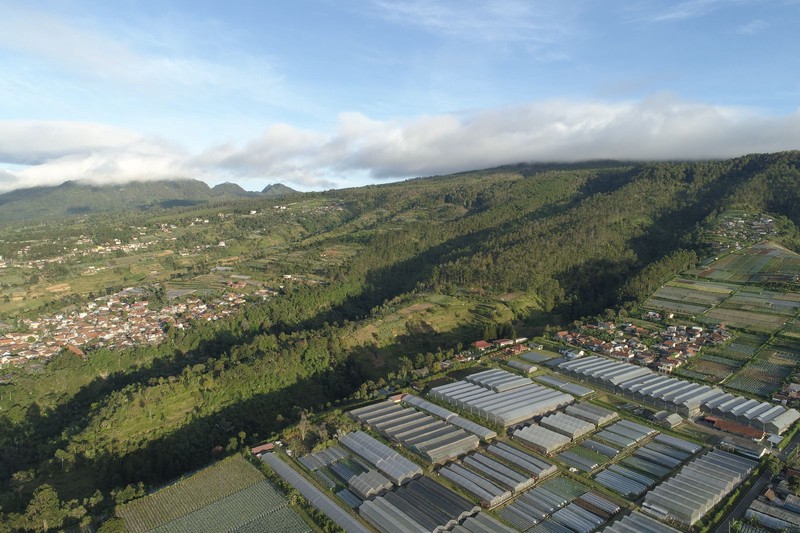 TANAH BONUS VILLA DI LEMBANG, BANDUNG