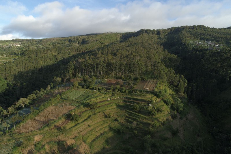 TANAH BONUS VILLA DI LEMBANG, BANDUNG
