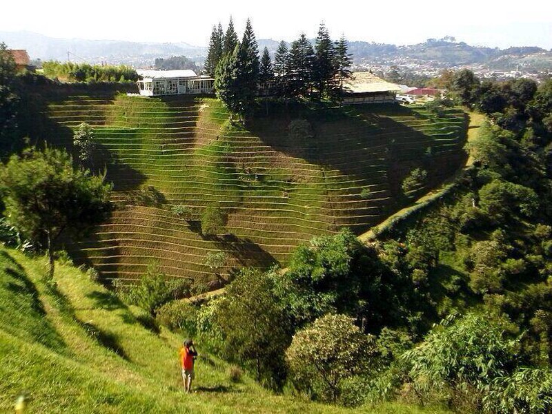 TANAH BONUS VILLA DI LEMBANG, BANDUNG
