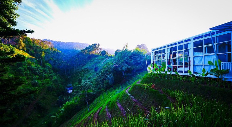 TANAH BONUS VILLA DI LEMBANG, BANDUNG