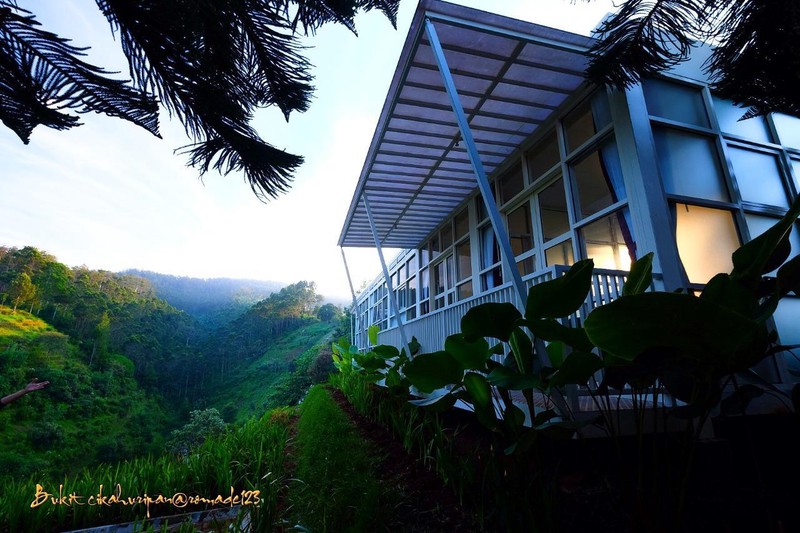 TANAH BONUS VILLA DI LEMBANG, BANDUNG