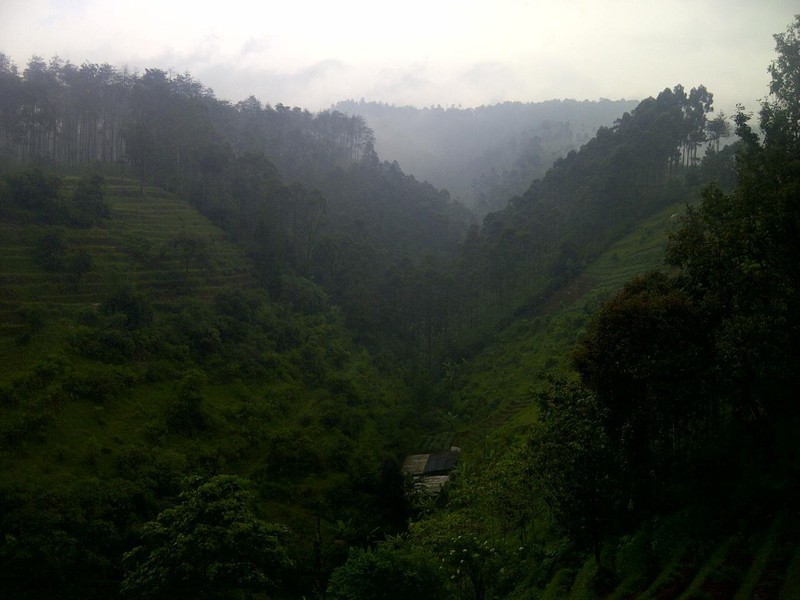 TANAH BONUS VILLA DI LEMBANG, BANDUNG