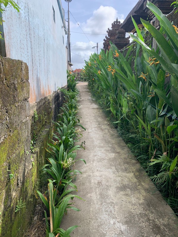 Villa Rental 2 Bedrooms in Mambal Close Ubud Bali