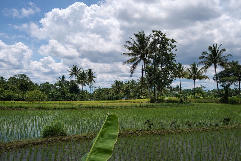 Tanah Strategis 1.693 Meter Persegi di Jalan Kaliurang KM 18  Lingkungan Asri & Sejuk Pakem Sleman