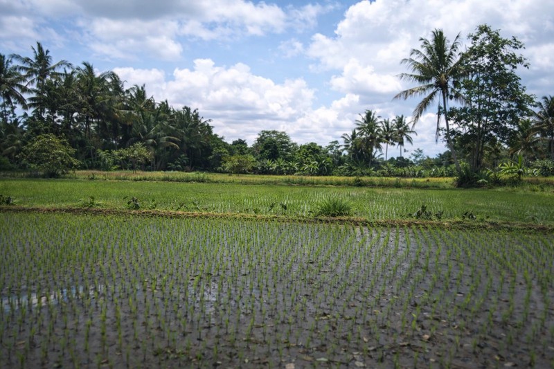 Tanah Strategis 1.693 Meter Persegi di Jalan Kaliurang KM 18  Lingkungan Asri & Sejuk Pakem Sleman