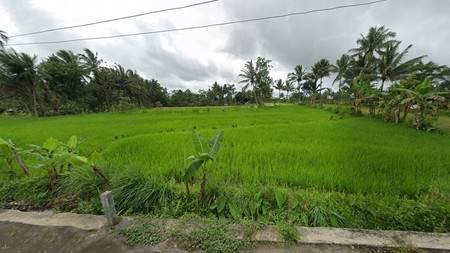 Tanah Strategis 1.693 Meter Persegi di Jalan Kaliurang KM 18  Lingkungan Asri & Sejuk Pakem Sleman