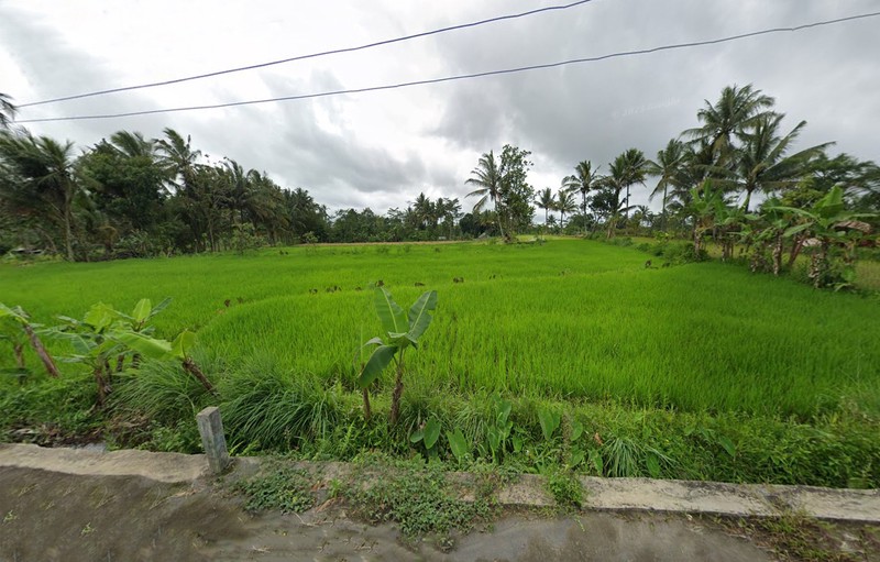 Tanah Strategis 1.693 Meter Persegi di Jalan Kaliurang KM 18  Lingkungan Asri & Sejuk Pakem Sleman